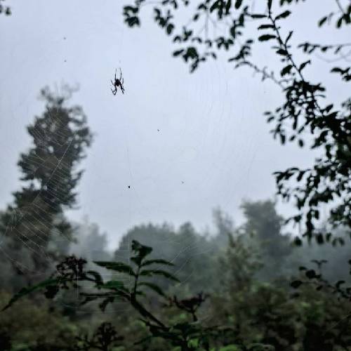 دکتر منصور علیپور خالق تو را شاد آفرید آزاد آزاد آفرید